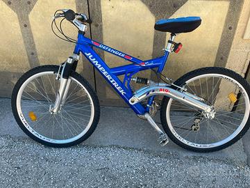 Montabike in buone condizioni