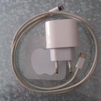 Carica batterie RAPIDO APPLE
