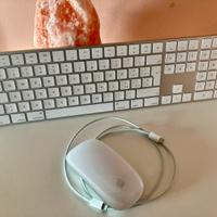 Tastiera Magic Keyboard A1843 + Magic Mouse A1657