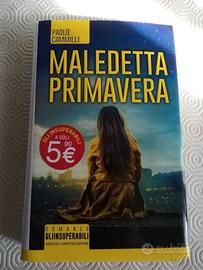 MALEDETTA PRIMAVERA, PAOLO CAMMILLI, ROMANZO