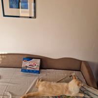 Gioco di intelligenza per gatti