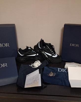 Dior b22 black/silver