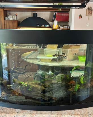 acquario JUVEL VISIO 180L