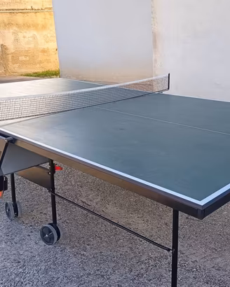 Tavolo da ping pong
