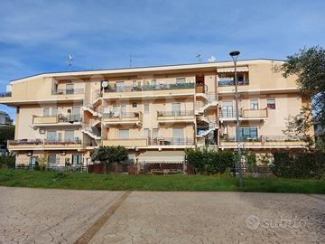 Duplex Alba Adriatica [Cod. rif A022VRG]