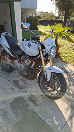 Honda Hornet 600 (2006) - Bianco Perla - 30.000 km