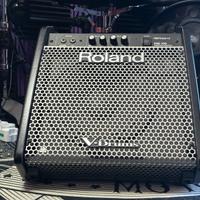 AMPLIFICATORE ROLAND PM 100