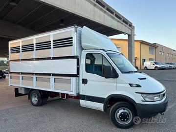 Iveco Daily 35c13 trasporto animali patente B