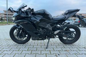 Kawasaki Ninja ZX-4R 2024