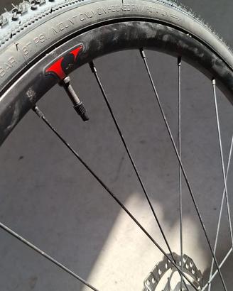 CERCHI SPECIALIZED GRAVEL DA 28 CON COPERTONI NUOV