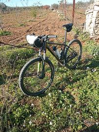 MTB Merida 29