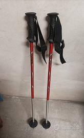 Bastoncini da trekking 