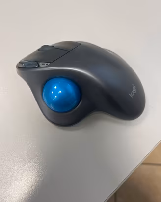 Mouse Logitech M570