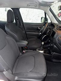 Auto renegate