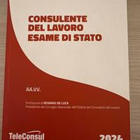 Consulente del lavoro esame di stato