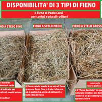 fieno per conigli, piccoli roditori ed erbibori e