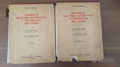 Atlante Sistematica e Topografica dell'uomo 