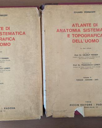 Atlante Sistematica e Topografica dell'uomo 