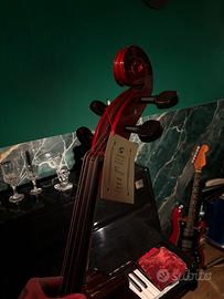 violoncello