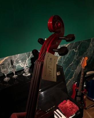 violoncello