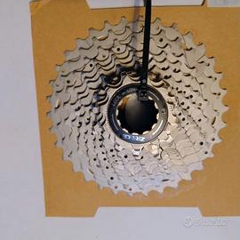 Pignoni bici corsa 12V 11-34 corpetto HG