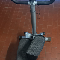 Step con manubrio regolabile