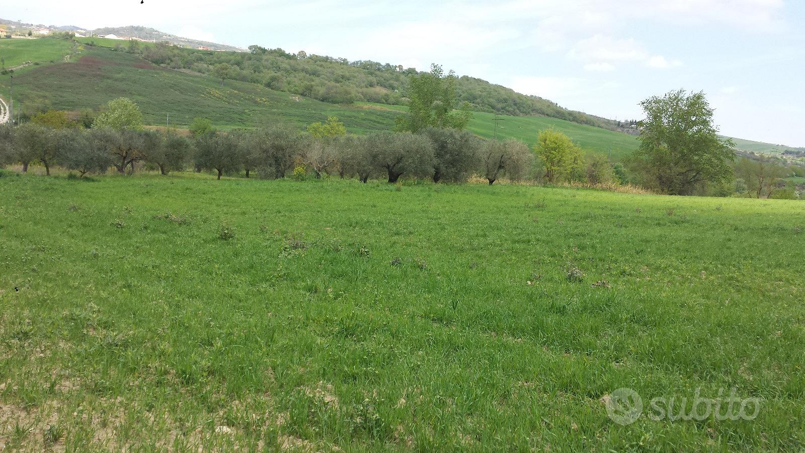 Terreno Agricolo - Vista 4