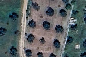 TERRENO AGRICOLO a MASSARO