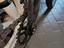 Immagine 5