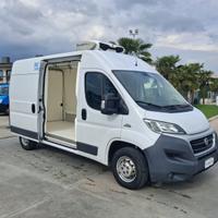 Fiat Ducato Furgonato Frigorifero Trasporto CARNE