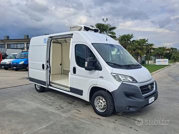 Fiat Ducato Furgonato Frigorifero Trasporto CARNE