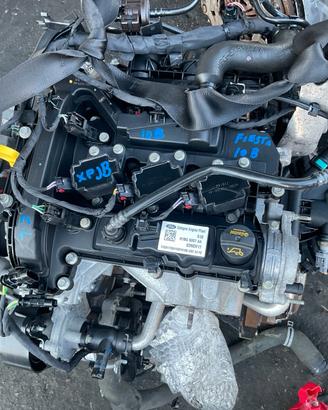 MOTORE XPJB FORD 1.0 BENZINA FORD FIESTA