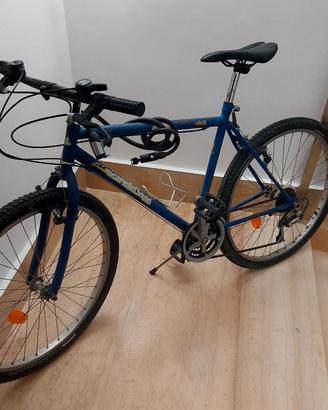 Bici mtb
