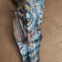 Adatto a ville   casa   eccc