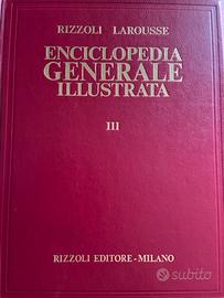 Enciclopedia Generale Illustrata Rizzoli Larousse