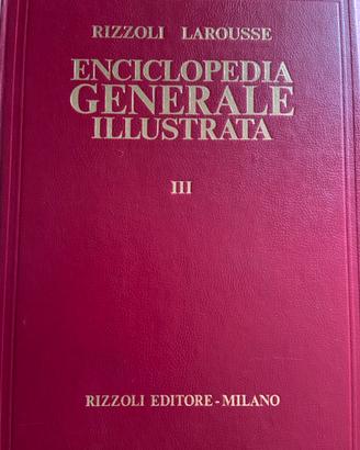 Enciclopedia Generale Illustrata Rizzoli Larousse