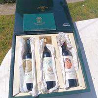 Vino della pace 1991