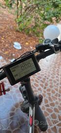bicicletta fat bike 