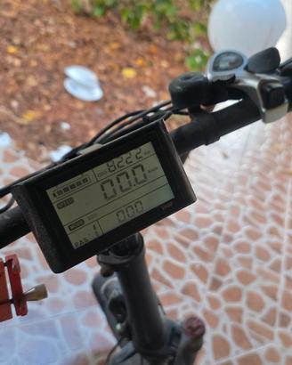 bicicletta fat bike 