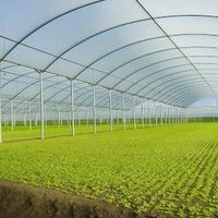 serra agricola in buone condizioni