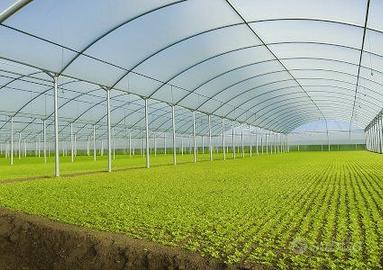 serra agricola in buone condizioni