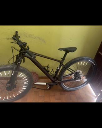 Mountain bike