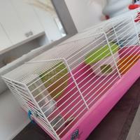 gabbia con criceti 
