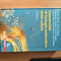 L'essenziale di biologia molecolare della cellula