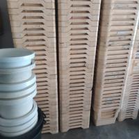 contenitori fiori freschi olandesi.