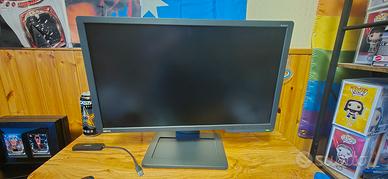 BenQ ZOWIE XL2411P Monitor da Gaming 24