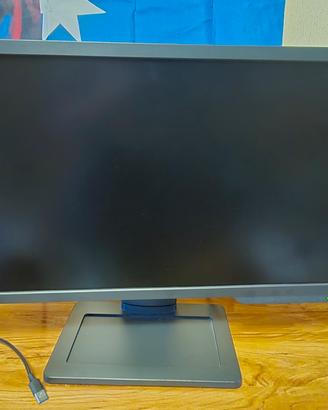 BenQ ZOWIE XL2411P Monitor da Gaming 24
