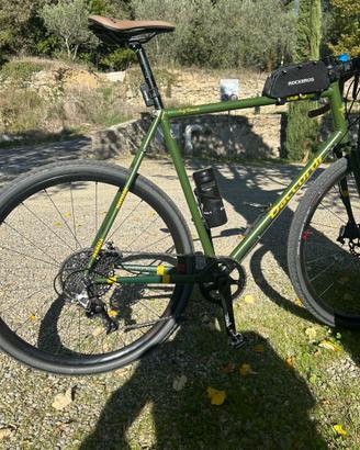 Gravel Alterego Daccordi