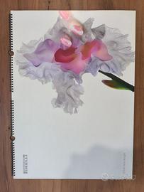 Calendario Pirelli 2004 Nick Knight nuovo box
