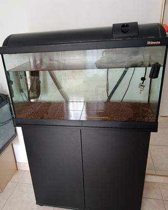 acquario